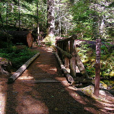 footbridge on lower trail, Upper Dungeness Trailhead, Clallam County, Washington