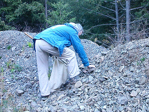 Laurel Ramseyer turning rocks, Mueller Creek above Upper Dungeness Trailhead, Clallam County, Washington