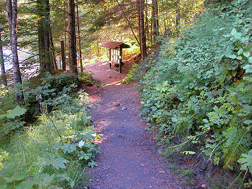 first leg of trail, Upper Dungeness Trailhead, Clallam County, Washington