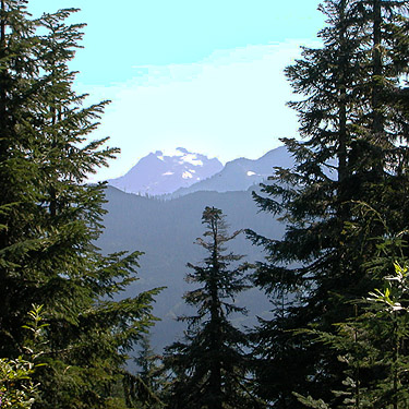 distant Whitehorse Mountain from side of mountain 2 miles east of Gee Point, Skagit County, Washington