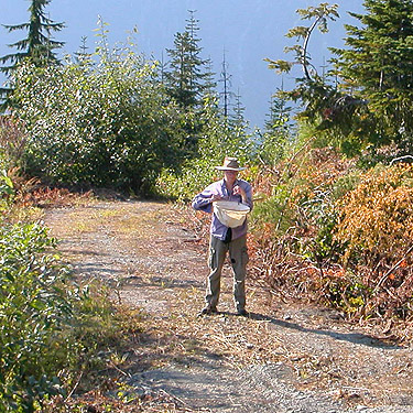 Laurel Ramseyer collecting a wolf spider, mountain 2 miles E of Gee Point, Skagit County, Washington