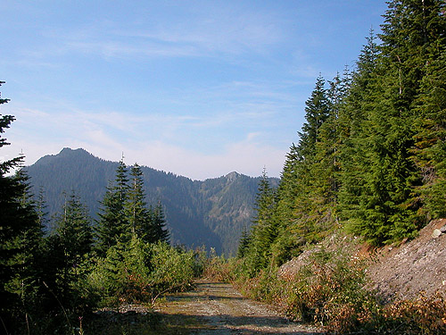 looking across at Gee Point from mountain 2 miles E of Gee Point, Skagit County, Washington