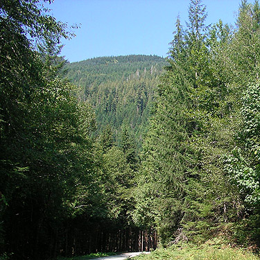 mountain above Finney Creek 2 miles E of Gee Point, Skagit County, Washington
