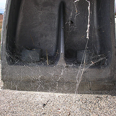 Hololena nedra web on bridge, s of East Kittitas, Kittitas County, Washington