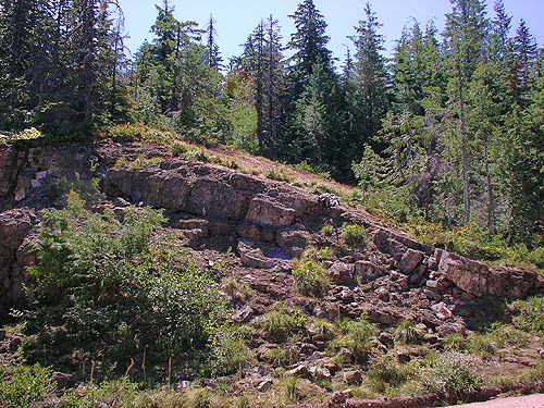 road face cliff of first rocky bald, East Creek area, central Lewis County, Washington