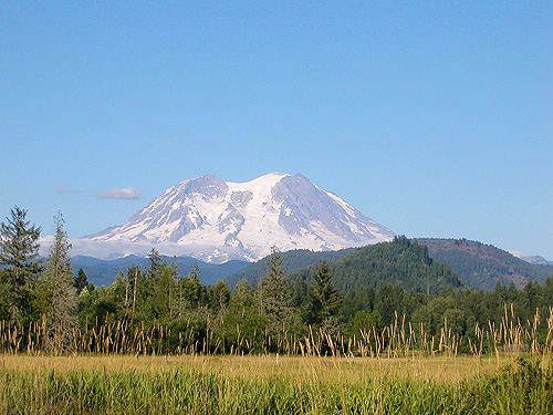 Mt. Rainier from near Highway 7, East Creek area, central Lewis County, Washington