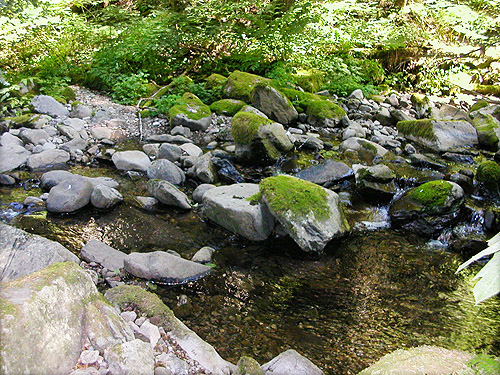 streambed wih boulders, East Creek area, central Lewis County, Washington