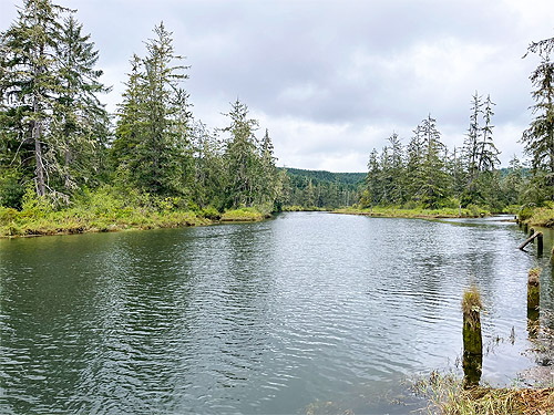 wide stretch of tidal river, second August East Fork Hoquiam River spider site, Grays Harbor County, Washington