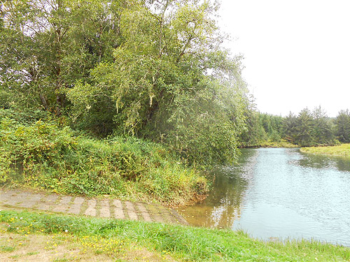 river downstream from second August East Fork Hoquiam River spider site, Grays Harbor County, Washington