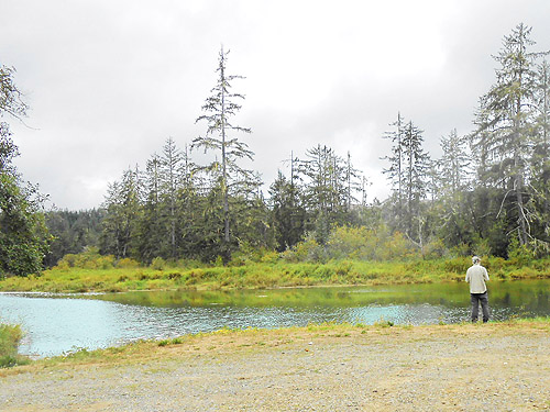 Jerry Austin at second August East Fork Hoquiam River spider site, Grays Harbor County, Washington