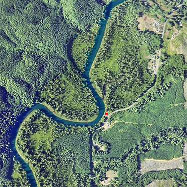 second August East Fork Hoquiam River spider site, Grays Harbor County, Washington