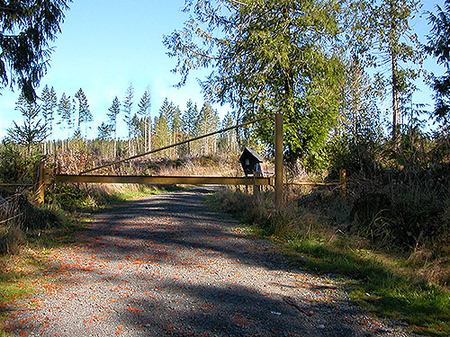 gated loggng road north of Egg and I Road, Jefferson County, Washington