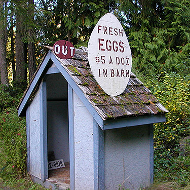 shack shelter at entrance of Egg and I Farm, Egg and I Road, Jefferson County, Washington