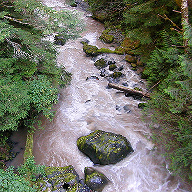 Wallace Creek from forest road bridge, Middle Fork Nooksack River road, Whatcom County, Washington