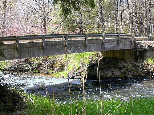 bridge over Elk Creek W of Murnen, Lewis County, Washington