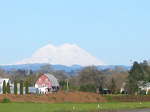 Mt. St. Helens from Adna, Washington on 25 April 2023