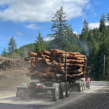 Weyerhaeuser log truck shedding dust, Elk Creek W of Murnen, Lewis County, Washington