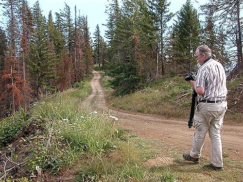 Markku Savela at second spider site on Entiat Summit Ridge, Chelan County, Washington