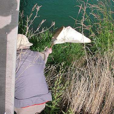 Rod Crawford sweeping under West Canal Bridge, east of Flat Lake, Grant County, Washington