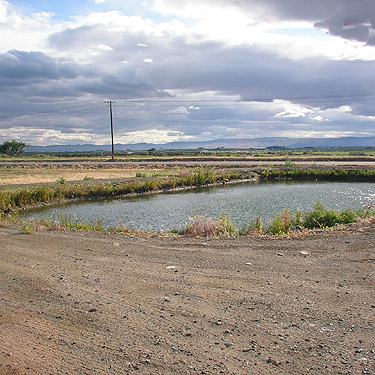 pond on Road 2 between George and Quincy, Grant County, Washington
