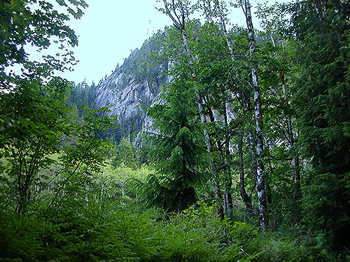 cliff on south side of river, see hiking to spider collecting site on upper Middle Fork Snoqualmie River, King County, Washington