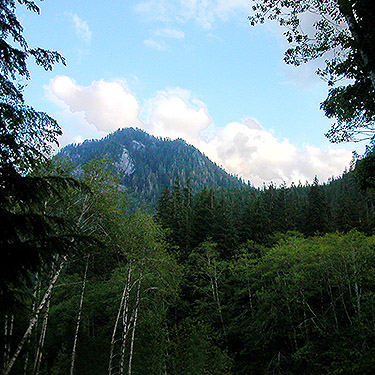 unnamed mountain on south side of river, seen hiking to spider collecting site on upper Middle Fork Snoqualmie River, King County, Washington