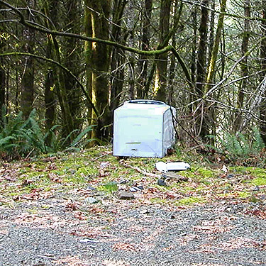 illegal appliance dumping, road to clearcut above Sponenbergh Creek, Lewis County, Washington