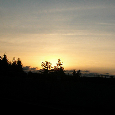 sun begins to set, Lewis County, Washington, 10 March 2020