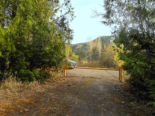 driveway to big field at 2nd site, vicinity of Glenoma, Lewis County, Washington