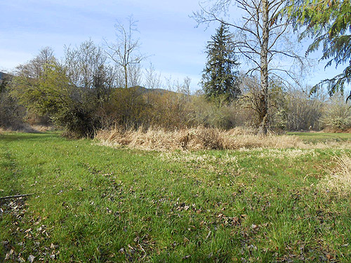 meadow-field used for hay, vicinity of Glenoma, Lewis County, Washington