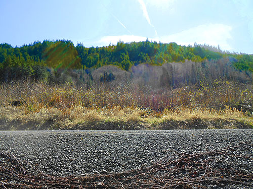 hills behind working forest, vicinity of Glenoma, Lewis County, Washington
