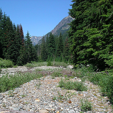 gravel bar of Gold Creek, Gold Creek Valley near Snoqualmie Pass, Washington