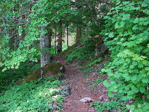 Markku savela on trail, Gold Creek Valley near Snoqualmie Pass, Washington