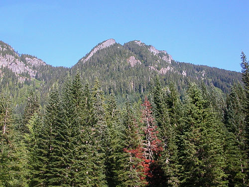 Rampart Ridge from Gold Creek Valley near Snoqualmie Pass, Washington