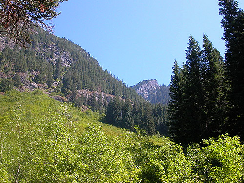 valley-side talus meadow, Gold Creek Valley near Snoqualmie Pass, Washington