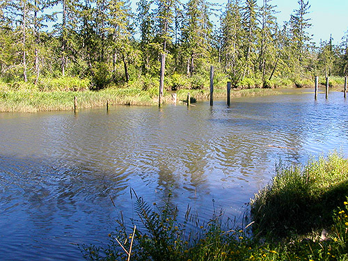 high tide in river, Green Bank Park, West Fork Hoquiam River, Grays Harbor County, Washington