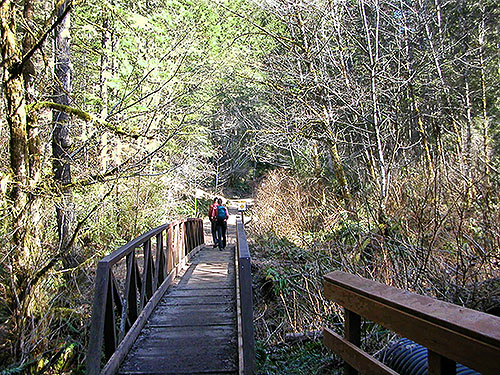 trail bridge, Gold Creek Trail, Green Mountain, Kitsap County, Washington