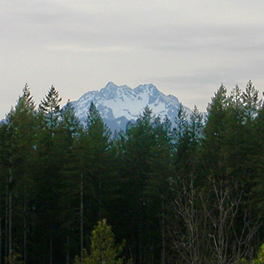 The Brothers (mountain) seen from Tin Mine Creek area, Green Mountain State Forest, Kitsap County, Washington