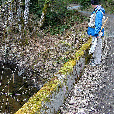 Laurel Ramseyer confirming existence of Tin Mine Creek, Green Mountain State Forest, Kitsap County, Washington
