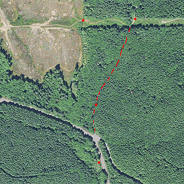 Spider sites in Halfway Creek area, Lewis County, Washington, on 2021 airphoto