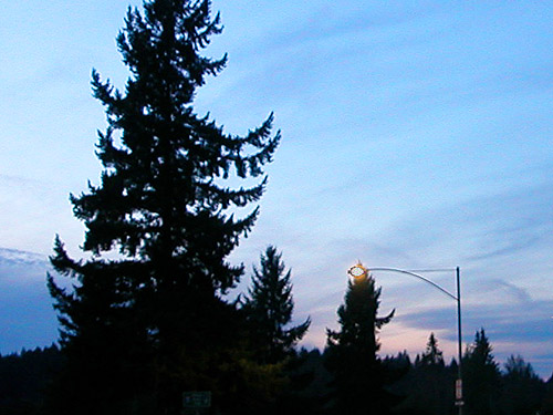 twilight at northern Lewis County, Washington freeway rest area, 8 October 2023
