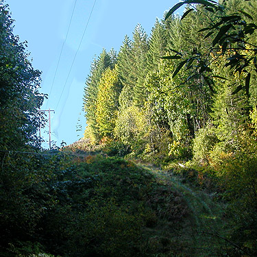 route westward in powerline clearing, Halfway Creek, Lewis County, Washington