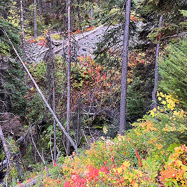 fall color, ravine of Squilchuck Creek, Mission Ridge Ski Resort, Chelan County, Washington