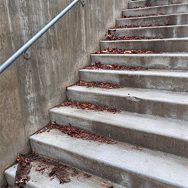 outdoor stairwell at Eastmont Junior High School, East Wenatchee, Washington