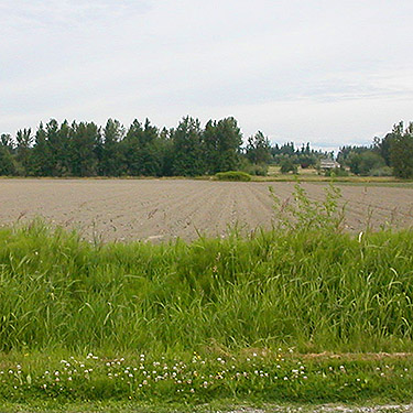 farmland to west, Harksell Road at Nooksack River, Whatcom County, Washington
