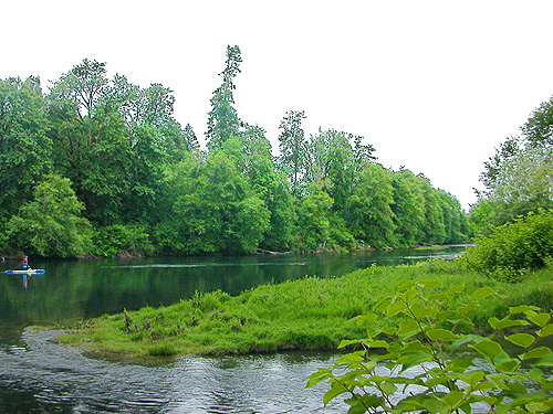 view of the island from Hog Island Boat Launch, Cowlitz County, Washington