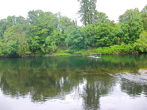 kayakers in Cowlitz river, Hog Island Boat Launch, Cowlitz County, Washington