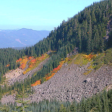 vine maple and talus on a side ridge from 4600', Huckleberry Mountain summit ridge, SE King County, Washington