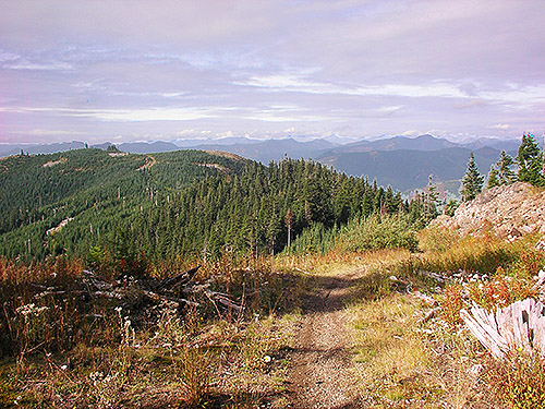 panorama from 4600' summit ridge, Huckleberry Mountain, SE corner King County, Washington