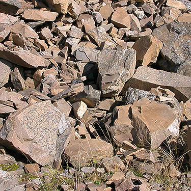 boulder talus, 4600' summit ridge of Huckleberry Mountain, SE corner King County, Washington